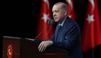 Erdoğan ‘bu iş çığrından çıktı’ diyerek kızdı: AKP’de ‘sokak hayvanları’ zirvesi!